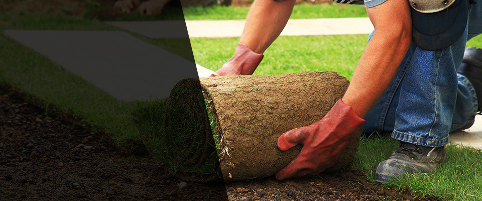 South Milwaukee Landscapers